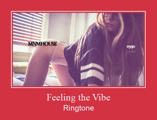 Feeling The Vibe Ringtone Ladda ner gratis