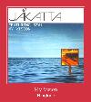 My Vision רינגטון
