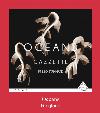 Oceans Ringtone.