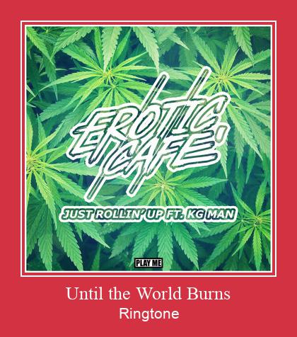 Until The World Burns Ringtone download gratis