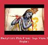 Indian Background Flute Music: Yoga Music Instrum helin