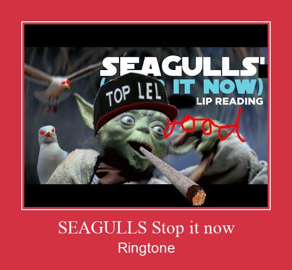SEAGULLS Stop It Now Nhạc chuông tải miễn phí