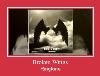 Broken Wings آهنگ زنگ