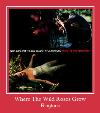 Where The Wild Roses Grow sonnerie