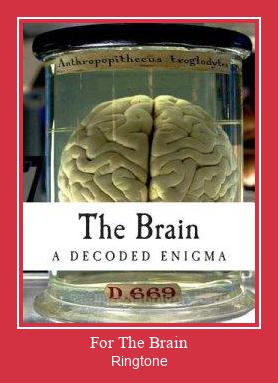 For The Brain Suoneria Download gratuito.