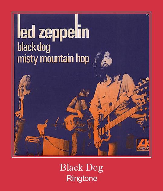 Black Dog צלצול הורד חינם