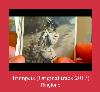 Trumpets (Original Track 2017) zil sesi