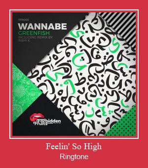 Feelin' So High Ringtone allalaadimine tasuta