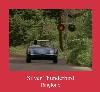 Silver Thunderbird helin