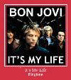 It`s My Life toque