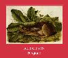 AUDUBON мелодија звона