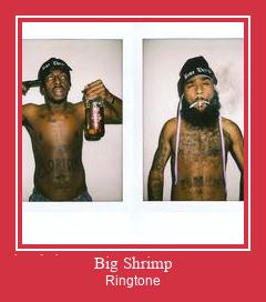 Big Shrimp Ringtone Download Free