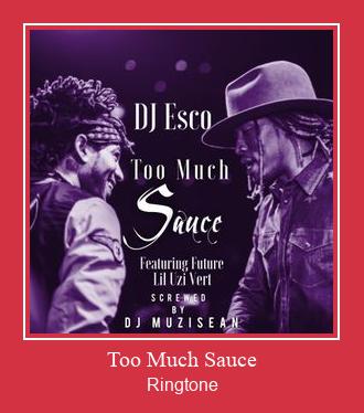Too Much Sauce రింగ్టోన్ ఉచితంగా డౌన్లోడ్ చేసుకోండి