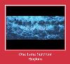 One Lone Survivor melodija