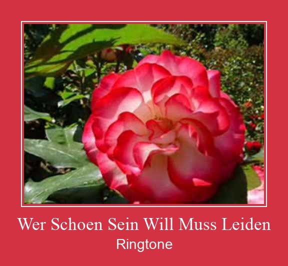 Wer Schoen Sein Will Muss Leiden Ringtone Download Free