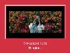 Sweetest Life ringtone.