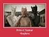 Pitbull Terrier آهنگ زنگ