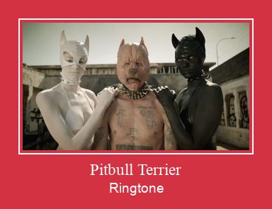 Pitbull Terrier 벨소리 다운로드 무료