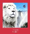 13 Raion آهنگ زنگ