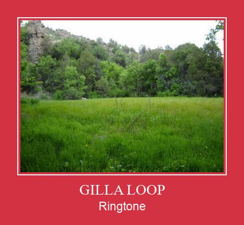 GILLA LOOP ringtone دانلود رایگان