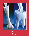 Calcium рингтон