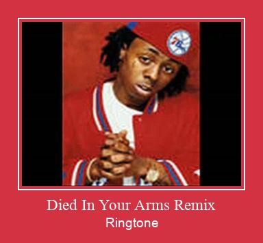 Died In Your Arms Remix Ringtone Download Proste.