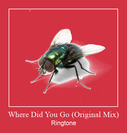 Where Did You Go (Original Mix) Ringtone atsisiųsti nemokamai