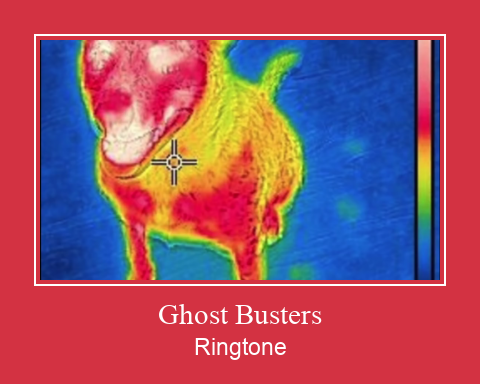 Ghost Busters Ringetone Download GRATIS.