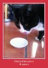 Coco-Cat-Love ರಿಂಗ್ಟೋನ್