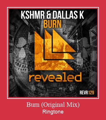 Burn (Original Mix) Ringtone Download pulsuz