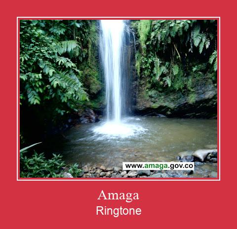 Amaga Ringtone allalaadimine tasuta