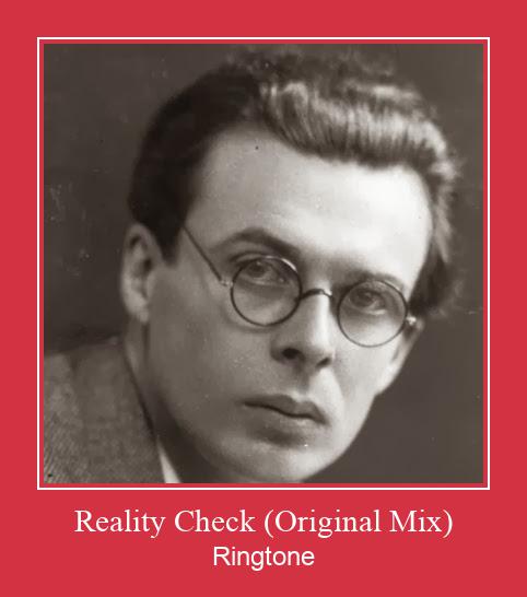Reality Check (Original Mix) ringtone دانلود رایگان