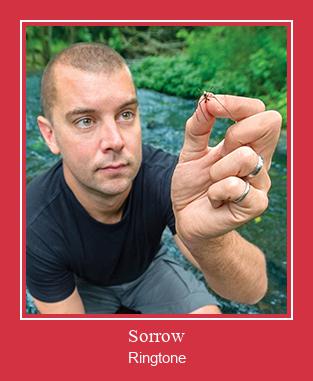 Sorrow Ringtone Download Free