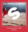 Missing (Radio Edit) Ringtone.