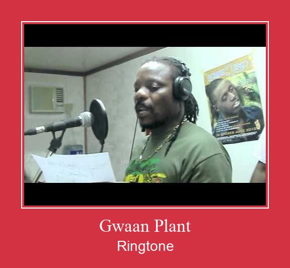 Gwaan Plant ringtone دانلود رایگان