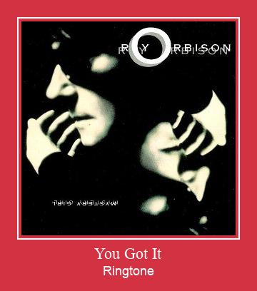 You Got It Ringtone Ladda ner gratis