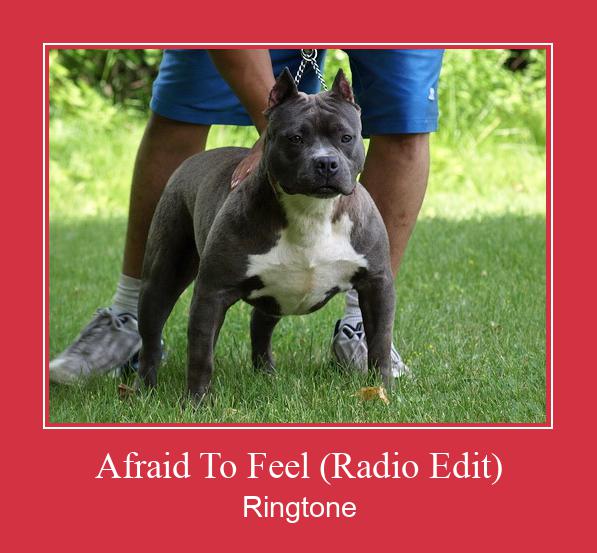Afraid To Feel (Radio Edit) Zil sesi indir ücretsiz