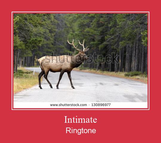 Intimate Ringtone Muat turun percuma.