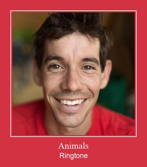 Animals Ringtone Download Free