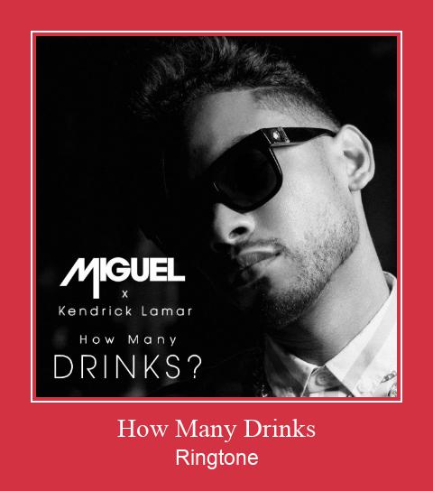 How Many Drinks Zil sesi indir ücretsiz