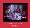VAMPIRE'S LOVE beltoon