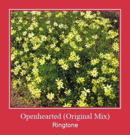 Openhearted (Original Mix) रिंगटोन मुफ्त डाउनलोड करें