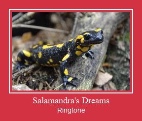 Salamandra's Dreams రింగ్టోన్ ఉచితంగా డౌన్లోడ్ చేసుకోండి