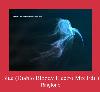 Blue (Diablo Bloody Electro Mix Edit) Ringtone.