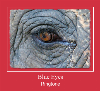Blue Eyes рингтон