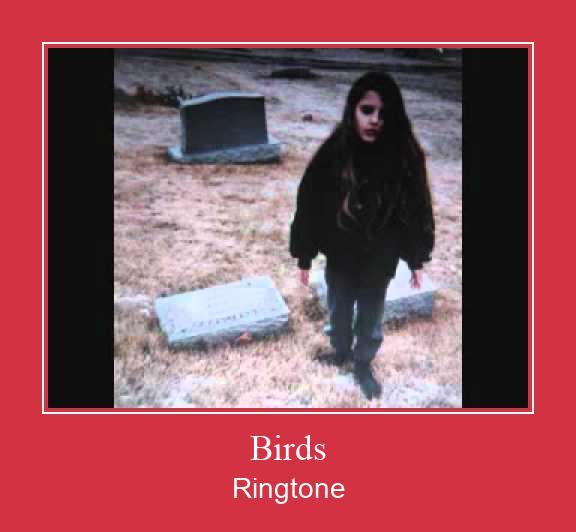 Birds Ringtone Download Proste.