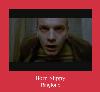 Born Slippy zvonenie