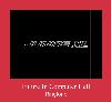 Future In Computer Hell рингтон