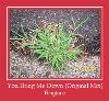 You Bring Me Down (Original Mix) ringsignal