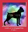 Secret Lover (Original Mix) ringsignal
